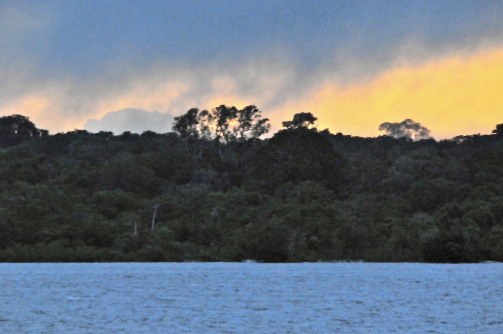 Комплекс резерватов Центральной Амазонии