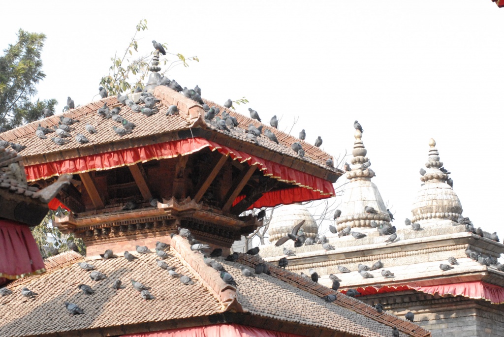 Долина Катманду. Площадь Ханумана Дхока Дурбар.