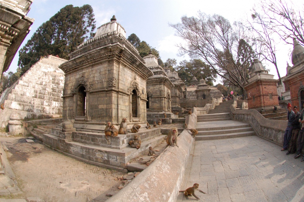 Долина Катманду. Храмы Пашупатинатх.