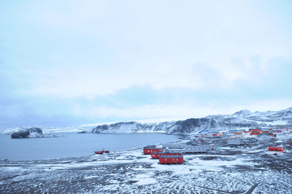 Антарктида. Южные Шетландские острова. Остров Кинг Джордж.