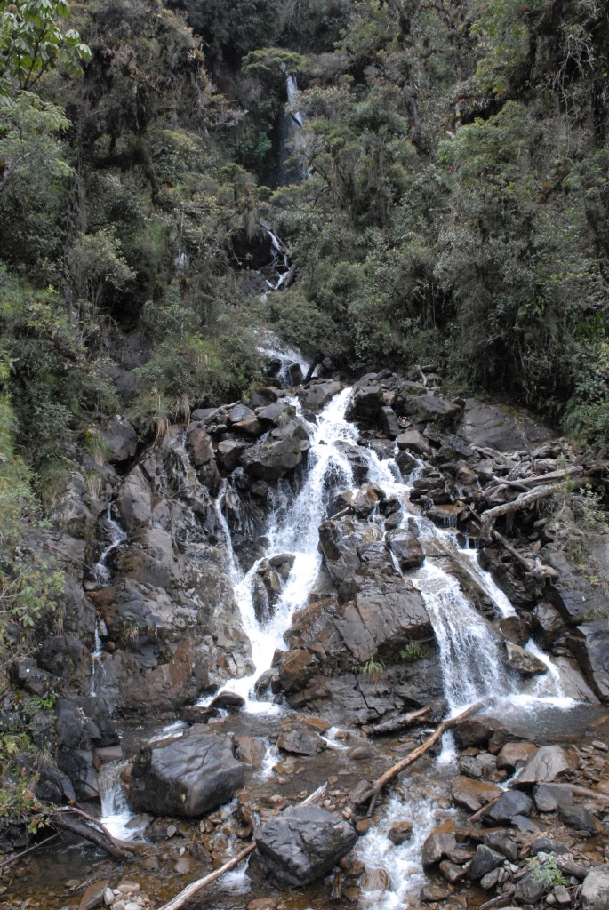 Национальный парк Сангай.