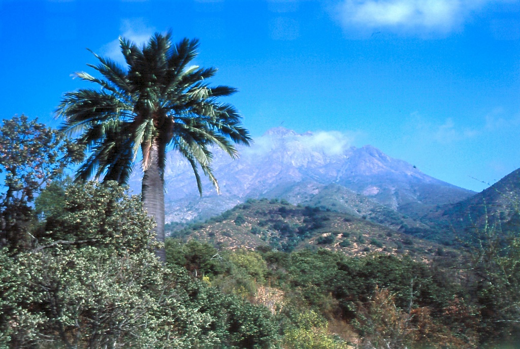Национальный парк Лас Пальмас де Кокалан