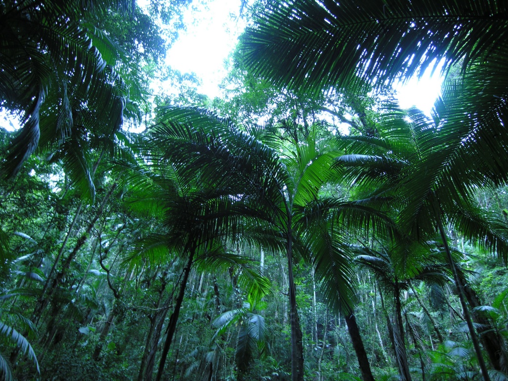 Лесные резерваты юго-восточного атлантического побережья