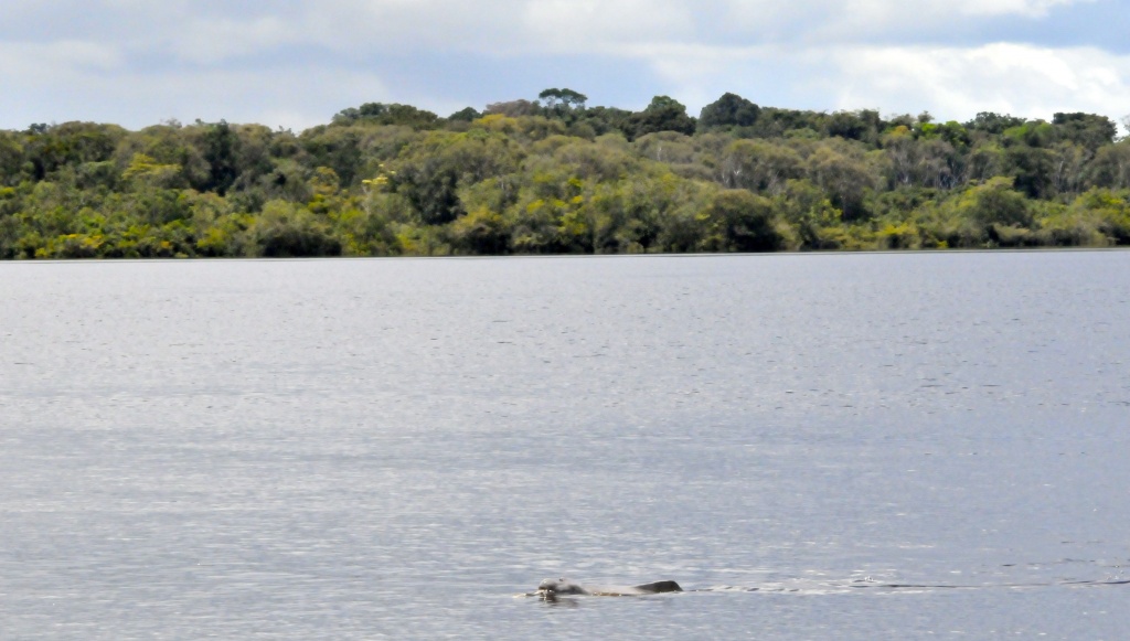 Комплекс резерватов Центральной Амазонии