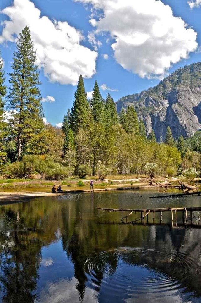 Национальный парк Йосемити.