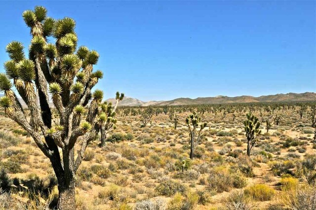 Национальный парк Пустыня Мохаве