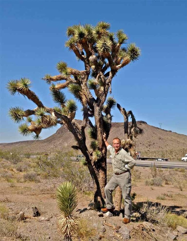 Национальный парк Пустыня Мохаве