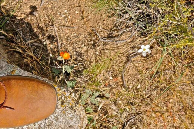 Национальный парк Пустыня Мохаве