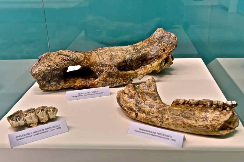 Изерния. Ла Пинеда. Национальный музей палеолита.