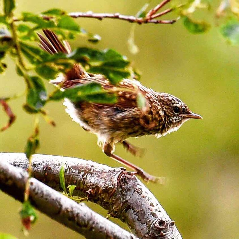 Вулканы Камчатки - Южно-Камчатский Федеральный Заказник