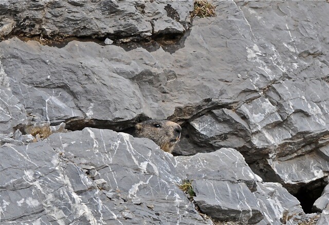 Национальный парк Пиринеи Монте-Пердидо, Цирк Гаварни