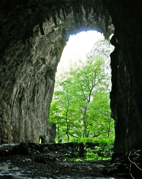 Шкоцянские пещеры и Классический Карст